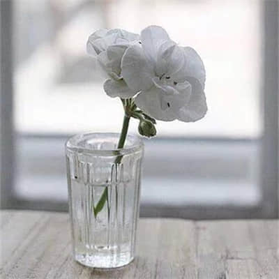 鲻ôͼƬ˵˵20