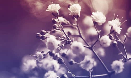 ںһ˵Ķ̾˵˵