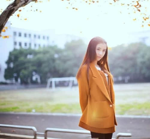 ʹ˵˵