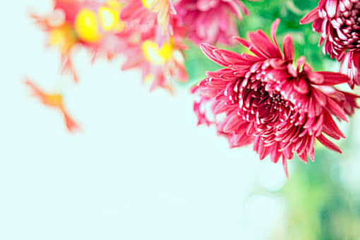 Ȧ˵˵ͼ,ͼƬȦ΢˵˵