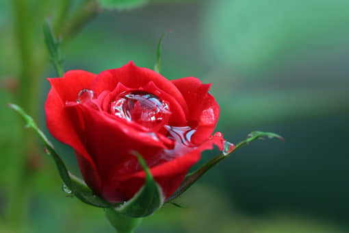 Ȧ˵˵ͼ,ͼƬȦ΢˵˵