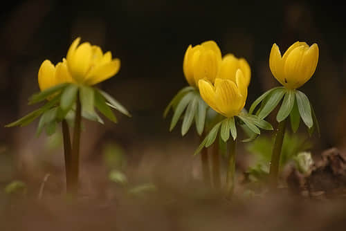 Ȧ˵˵ͼ,ͼƬȦ΢˵˵