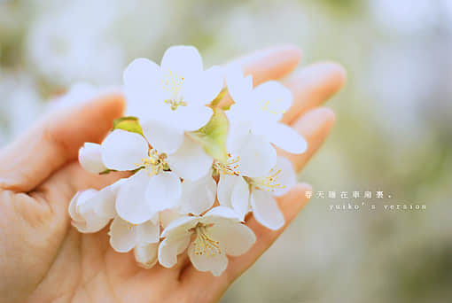Ȧ˵˵ͼ,ͼƬȦ΢˵˵