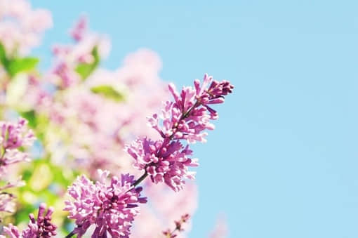 qq˵˵ѹͼƬ5