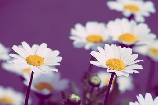 Ȧ¼˵˵