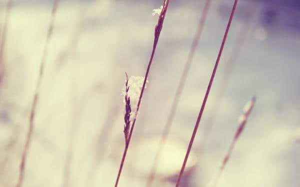 ˵˵һ仰