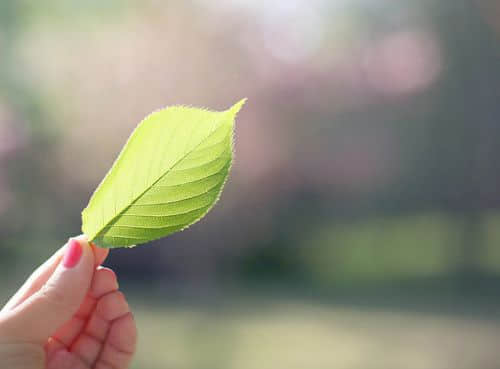һ仰ഺ˵˵