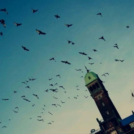 ʹİ˸еľ