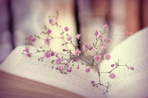 qqռ˵˵˵ľ