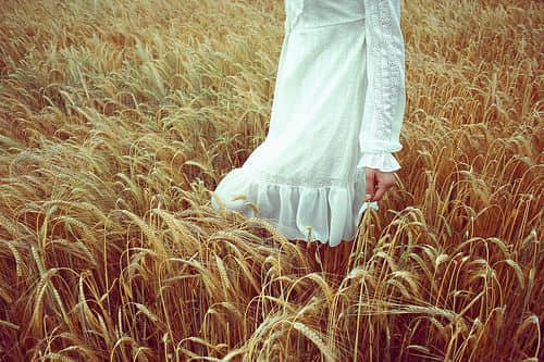 ѧ᲻ںľ