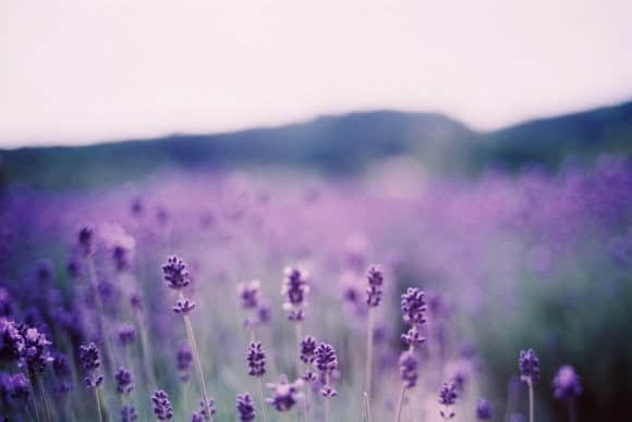 ˱ҪģرҪ