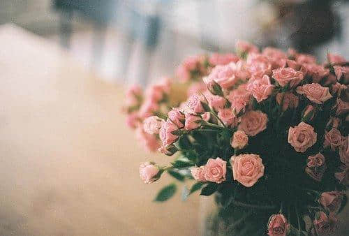 շ˵˵̾