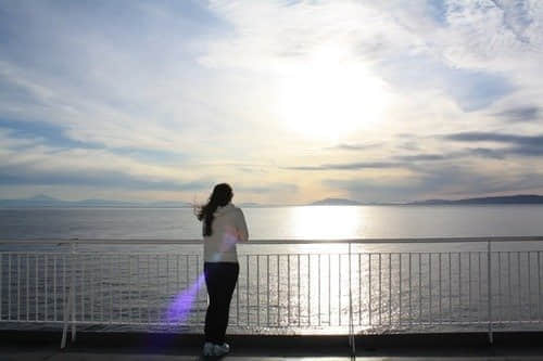 鲻˸ʧľ