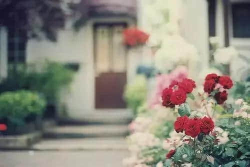 Ȧ˸ֿ˵˵