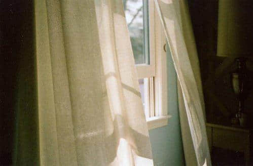 ˵簲ľ