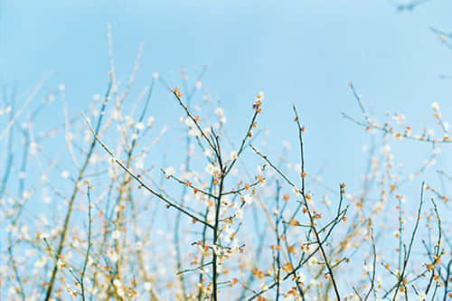 Ů˸ʧľ