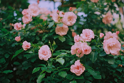 Ŀռ˵˵