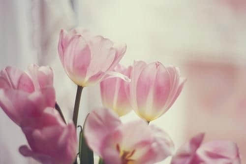鲻˸е־