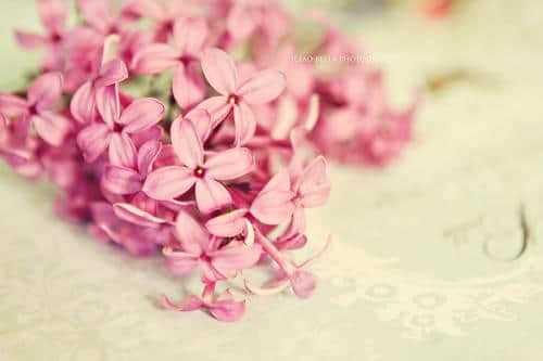 ʧȥ˲źڵ˵˵