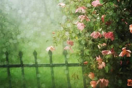 ΢Ȧ°Ů˸˵˵