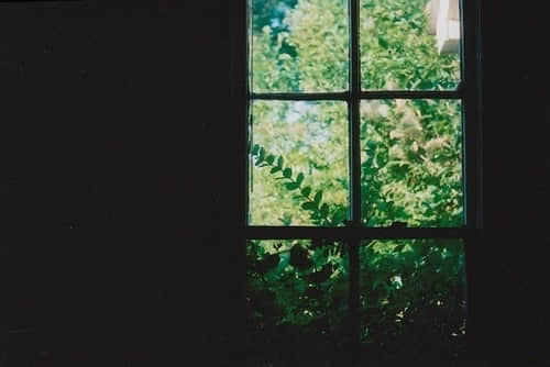 Ȧ˵˵ͼþ