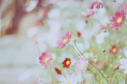 һ˹¶˸е˵˵