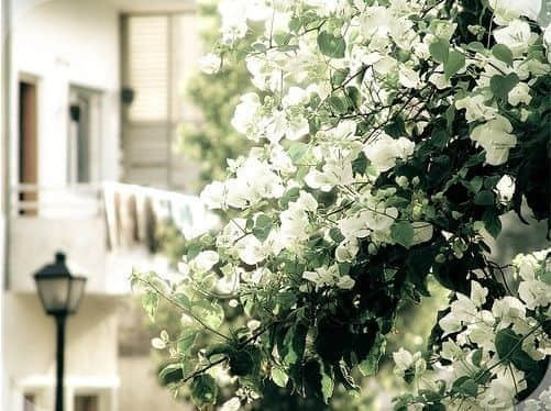 û㡢ҵд˭ҵǩΪ˭