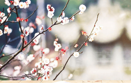 1-140921111G01X.png