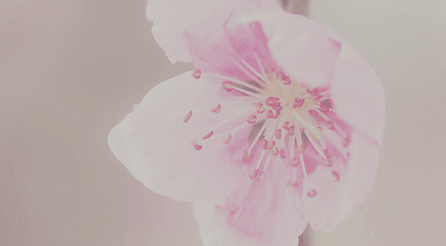 1-140921111G01X.png