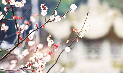 1-140921111G01X.png