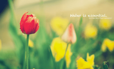 1-140921111G01X.png