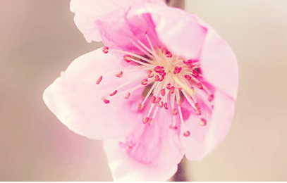 1-140921111G01X.png
