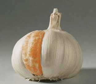 1-140921111G01X.png