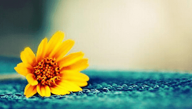 1-140921111G01X.png