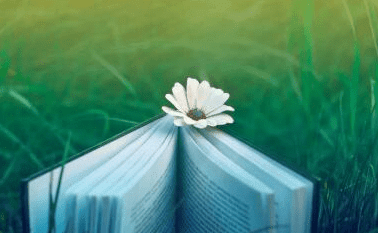 1-140921111G01X.png