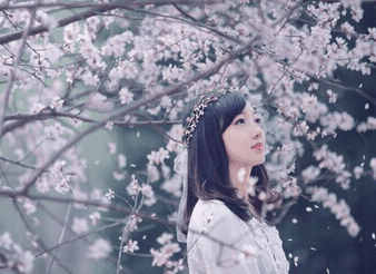 1-140921111G01X.png