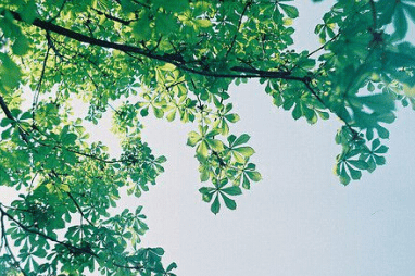 1-140921111G01X.png