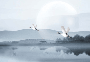 1-140921111G01X.png