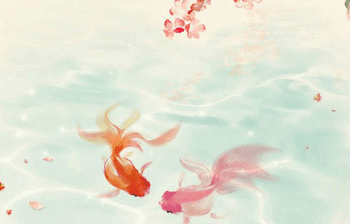 1-140921111G01X.png