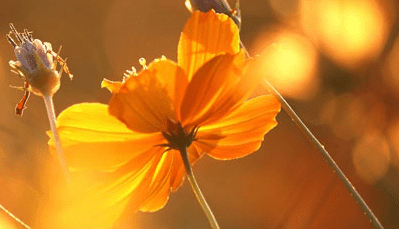 1-140921111G01X.png