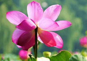 1-140921111G01X.png