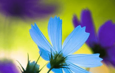 1-140921111G01X.png