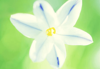 1-140921111G01X.png