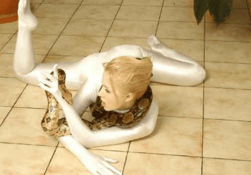 ͼƬ.png
