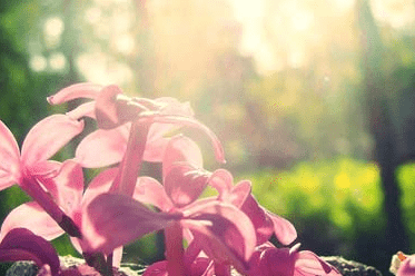 1-140921111G01X.png