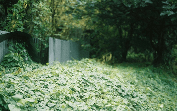 IFP1VCZNVQ`{2HJ6J9VL4ZI.png