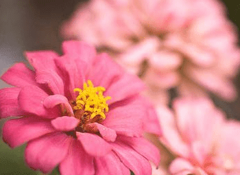 1-140921111G01X.png