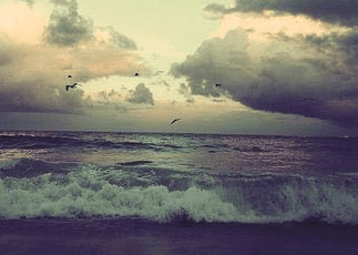 1-140921111G01X.png