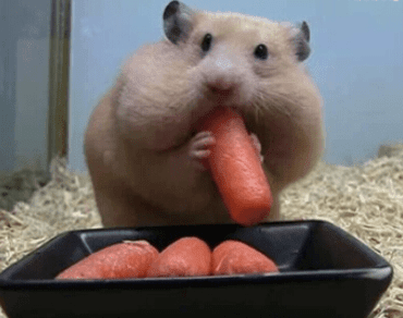 ͼƬ.png