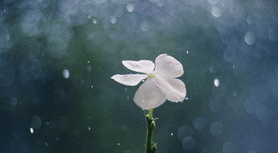 1-140921111G01X.png